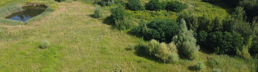 Działka budowlana 1200m2 z mpzp wilkszyn