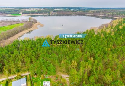 Las z linią brzegową jeziora - piece %nowa cena%