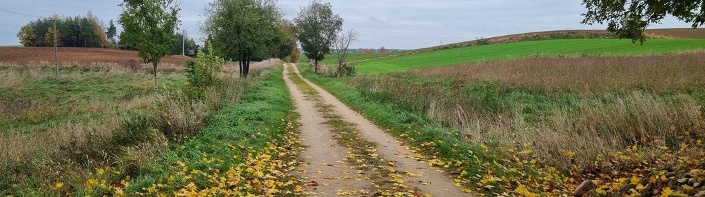 Działka na obrzeżach sejn
