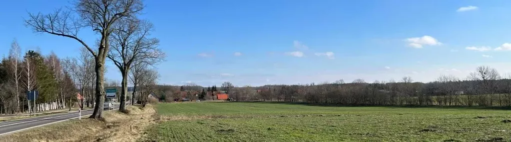 Działka na sprzedaż 1250m2