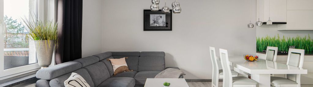 Stylowe dwupokojowe mieszkanie w buku!