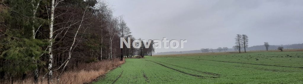 Działka rolna o pow. 7794m2 w łachowie gm. szubin