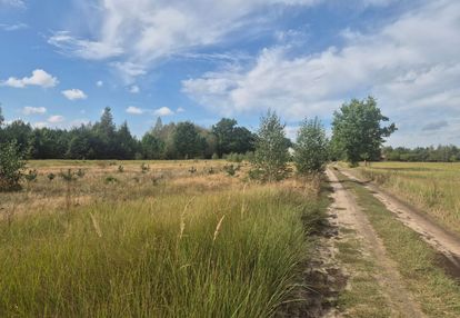 Działka przy kampinowskim parku narodowym