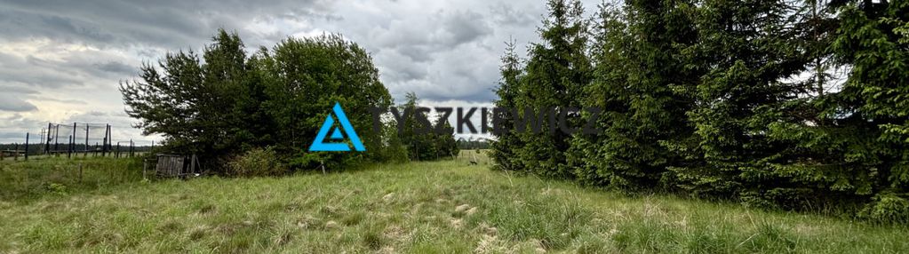 Działka blisko jeziora-osowo leśne-bory tucholskie