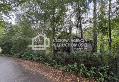 Piękna działka 3,3 ha w łapinie gm. kolbudy