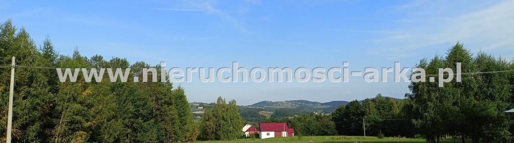 Duża, kształtna działka budowlana przy zagajniku