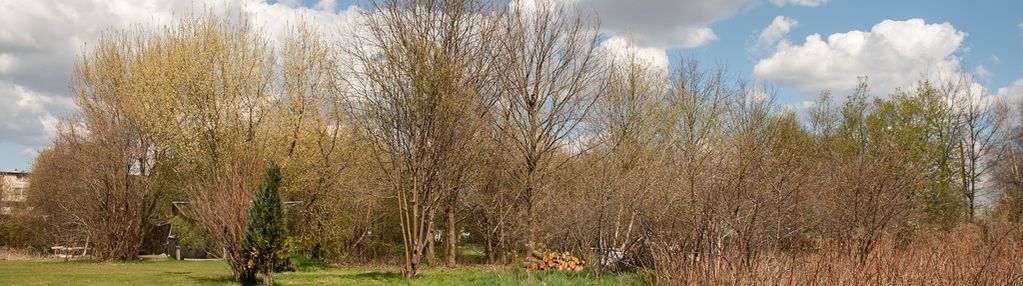 Działka budowlana tarnów - krzyż !