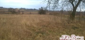 Dzialka 3260m2 w brześciu kuj.
