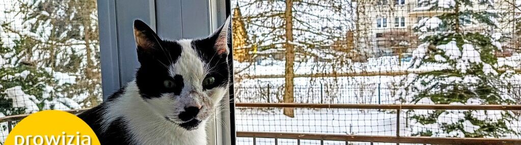 3 pokoje, ogród, szkola, balkon, osowa!