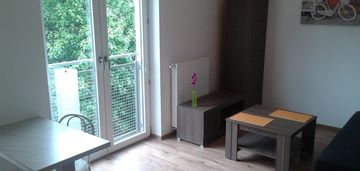 Mieszkanie 28,15 m2, 1 pokój, czarnów