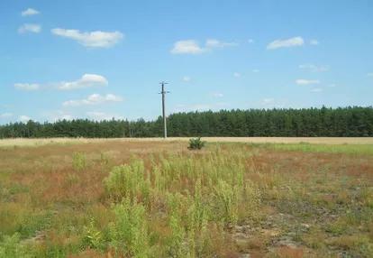 Działka na sprzedaż 3000m2