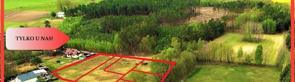 Toporzysko - działki ze ścianą lasu 800-1000 m2