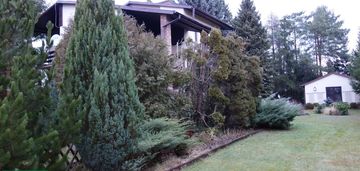 Wolnostojący - płouszowice kolonia