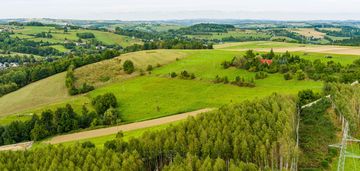 25 arów za 100 tyś. działka w krużlowej wyżnej!!