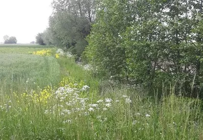 Działka na sprzedaż 3000m2