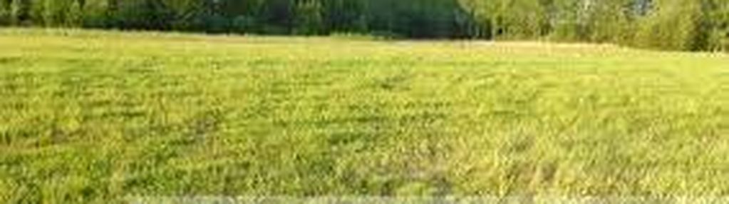 Działki budowlane gręzów