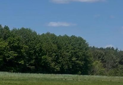 Działka budowlana blisko lasu, idealna inwestycja.