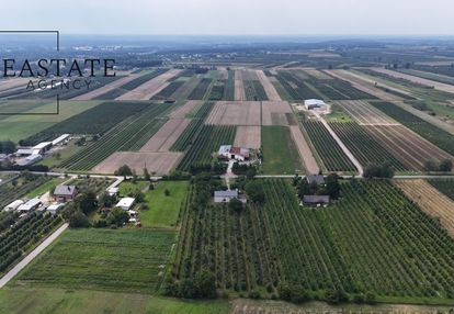 Działka rolna 9000m2 wraz z domem