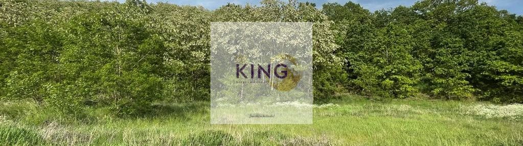 Sprzedaż działka rolna w czermnicy, gmina nowogard