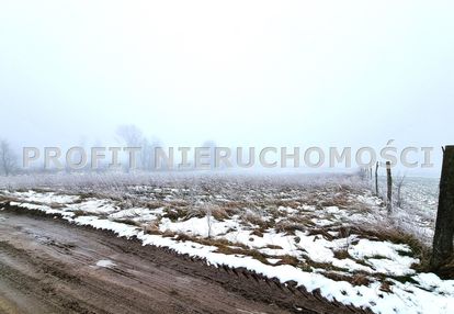 Działka rolna opodal jeziora czarne