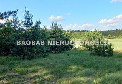 Piękna działka 1,3 ha na końcu wsi sródborze (wz)