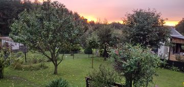 Działka ROD z domkiem 2025 – Aleksandrów Kujawski