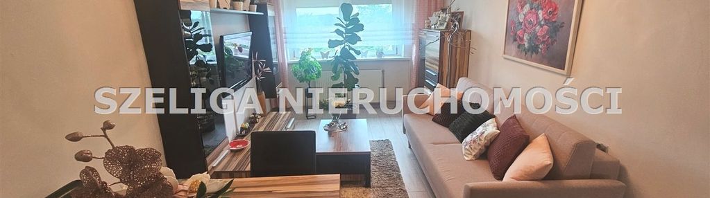 Okoice sośnicowic, garaż