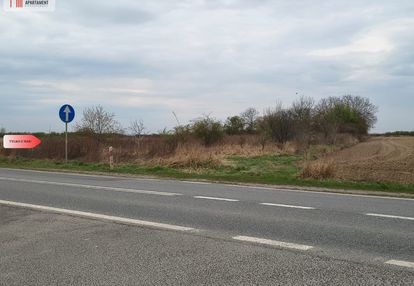 Duża działka rolna przy a8