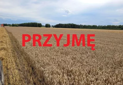 Wydzierżawię grunty rolne/ dzierżawa ziemi