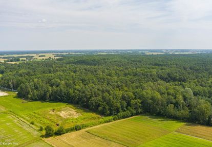 Działka leśna- narożniki- radgoszcz