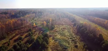 Działka na sprzedaż 226m2