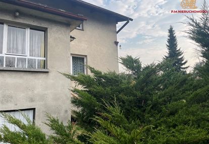 Bliźniak w książenicach