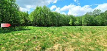 Magiczne miejsce w borach tucholskich! las! rzeka!