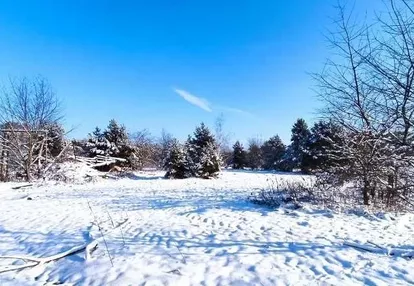 Działka na sprzedaż 730m2