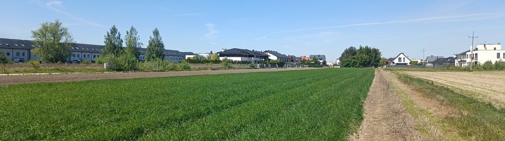 Zgorzała, cicha, ustawna mpzp