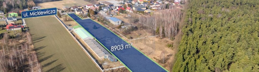 Działka usługowa/wręczyca wielka