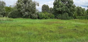 Działka w żninie blisko jeziora dużego