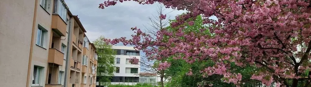 JASNE BŁONIA-HERBOWA; 3 pokoje; 1 piętro; balkon