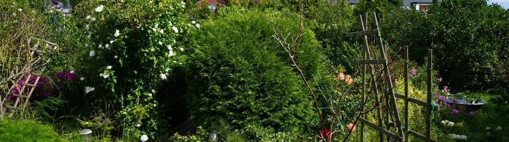 Dom z funkcją mieszkalną + apartamenty i pokoje