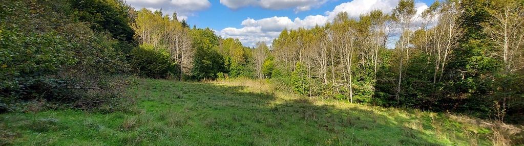 Niegdyś siedlisko-dziś twój ruch | 5,6 ha kobysewo