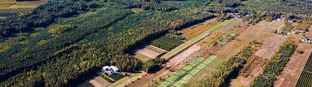 Działka budowlana - sprzedaż - józefów gm. pniewy