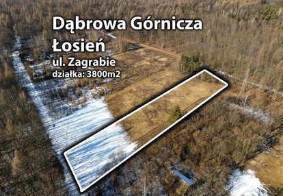 Piękna działka budowlana otoczona lasem