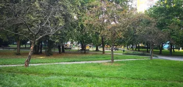 3 niezależne pokoje blisko szybkiego tramwaju