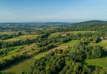 Domek w szalowej w okolicy lasu - okolice grybowa