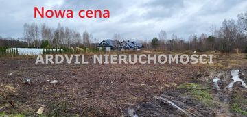 Uzbrojona grabówka ładna