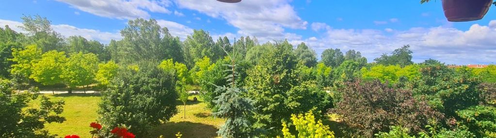 3-pokoje z widokiem na park migdałowy