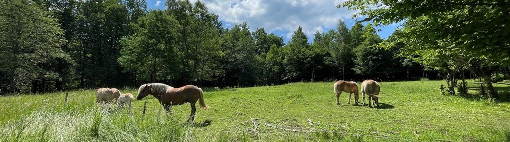 Twoje marzenie o własnym domu w pięknym miejscu