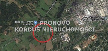 Działka 4,5ha tatynia z możliwością zabudowy