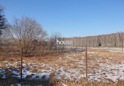 Działka z potencjałem – cisza, las i szybki start