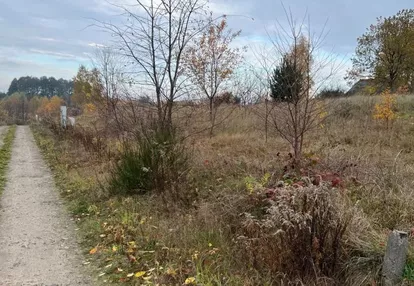 Działka na sprzedaż 1000m2